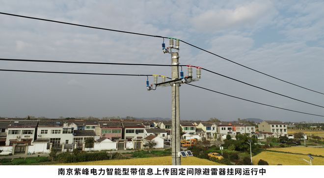 南京紫峰电力设备有限公司荣获“防雷设备十大品牌”荣誉称号(图3)
