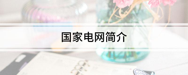 国家电网简介
