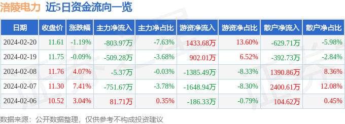 涪陵电力（600452）2月20日主力资金净卖出80397万元
