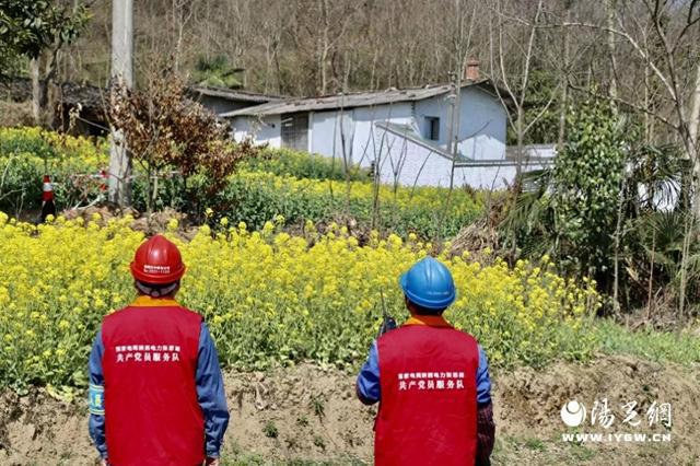 国网宁强供电公司:油菜花开盛开季电力基建正当时