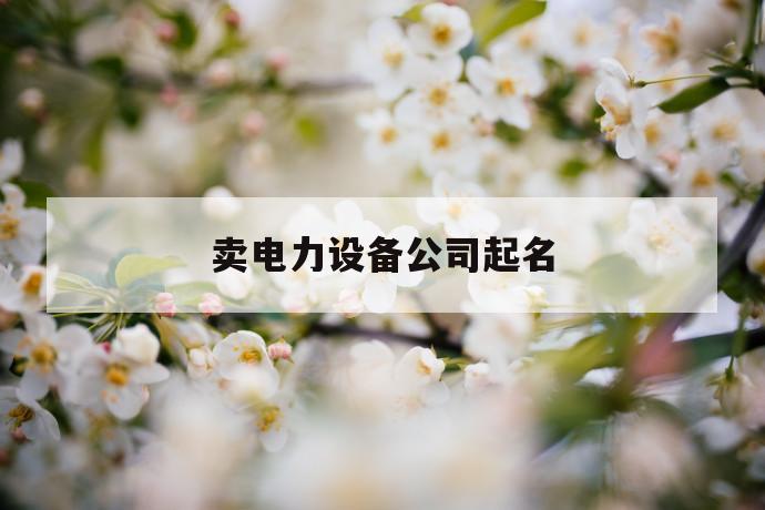 卖电力设备公司起名