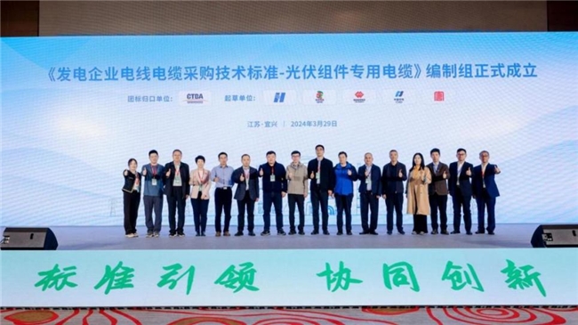 “2024新能源用电缆产业高质量发展论坛暨《新能源用电缆设计与采购手册》终审会”隆重召开(图11)