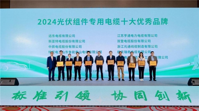 “2024新能源用电缆产业高质量发展论坛暨《新能源用电缆设计与采购手册》终审会”隆重召开(图13)