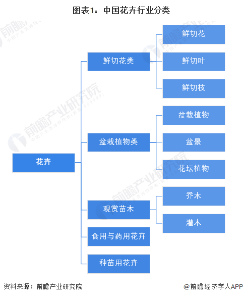 预见2024:2024年中国花卉行业市场规模、竞争格局及发展前景预测 未来市场规模有望突破7000亿元