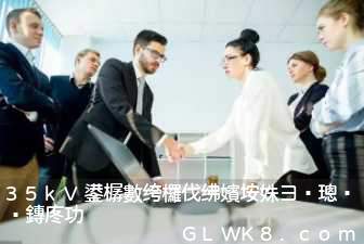 35kV变电站工程初步设计说明书