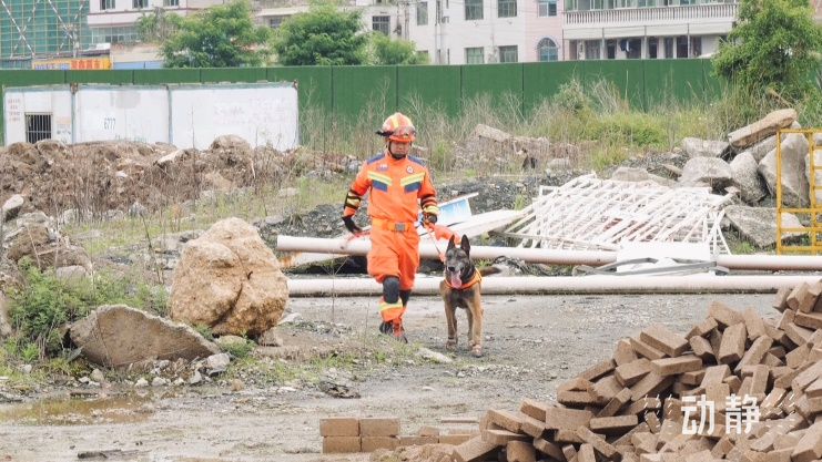 参练人数历年最多！贵州开展2024年跨区域地震救援实战演练(图4)