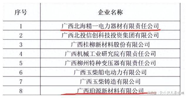 恭喜!广西两家县域企业入选国家级“专精特新”小巨人企业