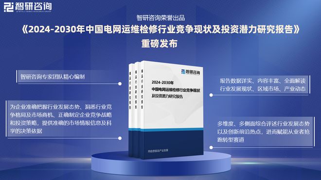 中国电网运维检修行业发展环境分析及市场前景预测（2024版）