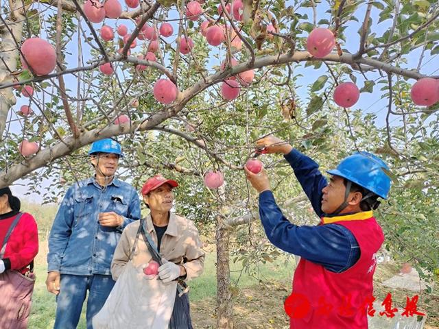 国网渭南供电公司:未雨绸缪抓治理 消除隐患保运行