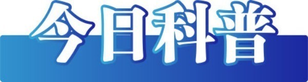 今日辟谣(2024年11月21日)