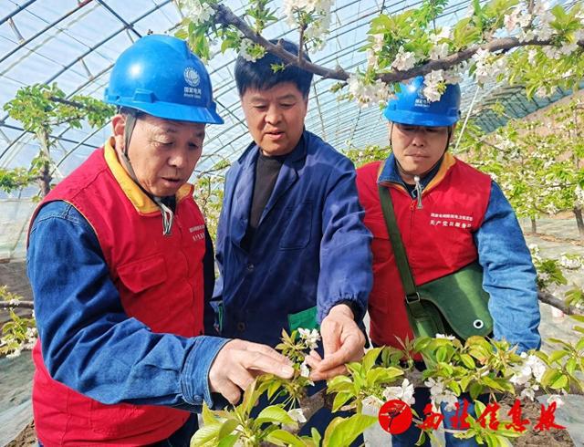 国网渭南供电公司:供电服务进园区 精准“电”亮产业园